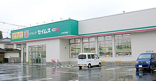 ドラッグセイムス小平天神店 徒歩11分。 850m