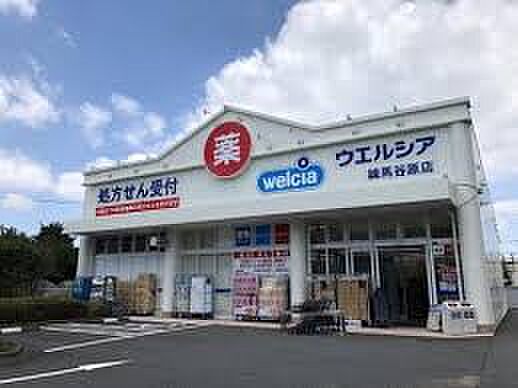 ウエルシア練馬谷原店