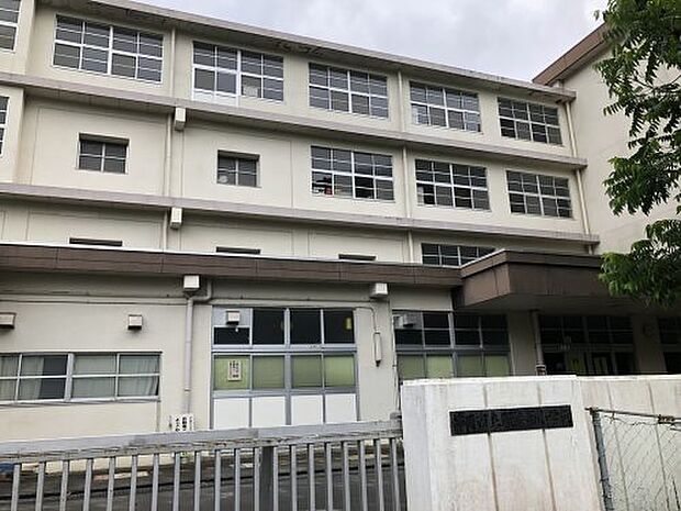 【小学校】静岡市立服織西小学校まで3171ｍ