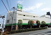 サミットストア志村店 488m