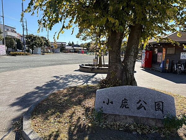 小鹿公園すべり台やブランコ、鉄棒などの遊具が充実♪砂場もあり、小さな子どもも安心して遊べる環境！桟橋や水上デッキ、木道が整備されており、散策を楽しむ人々にも人気のスポットです(^O^)駐車場：無し…