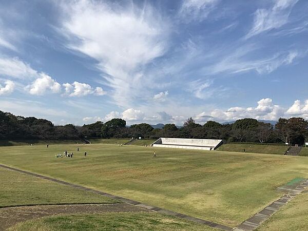 芝生園地（静岡県立大学　草薙キャンパス内）静岡県立大学草薙キャンパス内の広々とした芝生園地は、春には園地を囲む桜が咲き誇り、多くの人がお花見に訪れます(^^)/ 890m