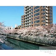 目黒駅より徒歩7分 8階 築17年8ヶ月の賃貸物件