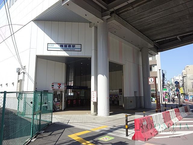 周辺