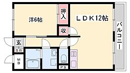 アイビーコート 2階/-