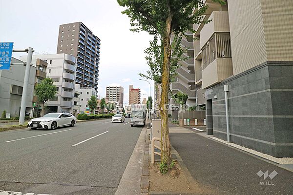 敷地北側の前面道路（西側から）