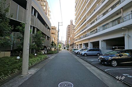 敷地東側の前面道路(北側から)