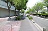 その他：敷地の東側前面道路（南側から）