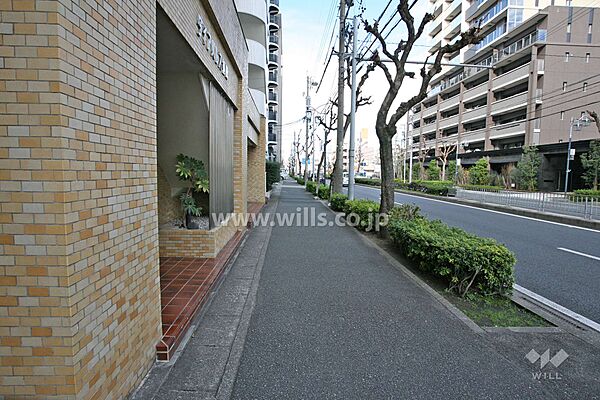 敷地前面道路