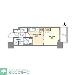 リビオメゾン浅草雷門 1DKの間取図画像