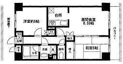ファインコート立石 2LDKの間取図画像
