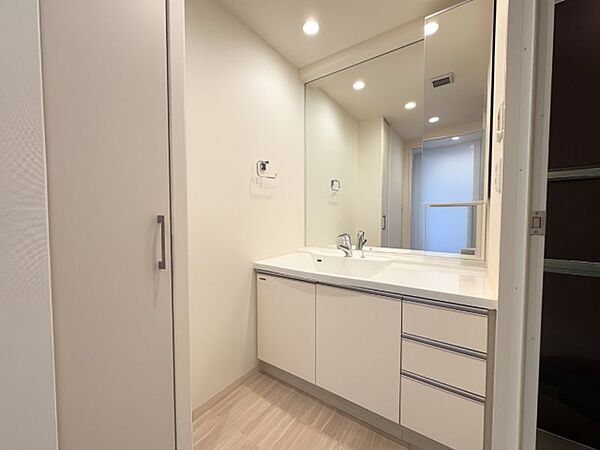 大きな鏡の付いたおしゃれな洗面台！収納も充実しておりデザイン性だけでなく機能性にも優れています♪