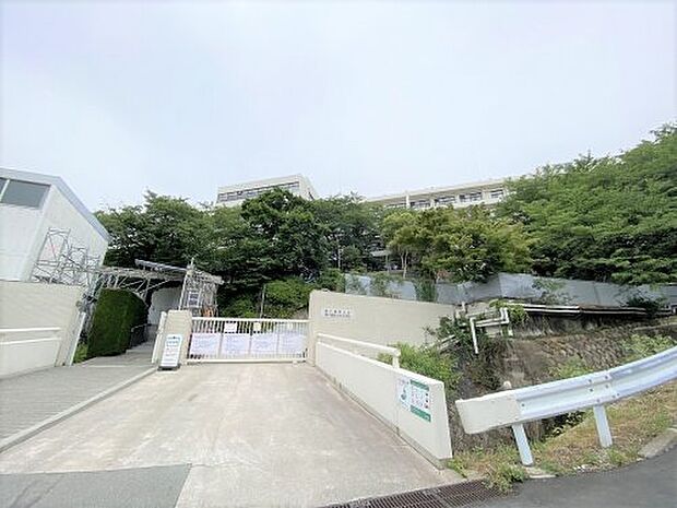 【大学】私立神戸薬科大学まで1298ｍ
