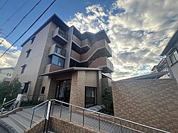 パルテール中もず