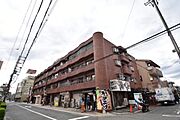 コーポイン松原 4階 築41年4ヶ月の賃貸物件