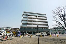 フリージアドットワイ（Freesia.Y）