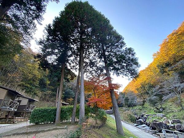 鳴滝森林公園 オートキャンプ場/野鳥観察小屋 2290m