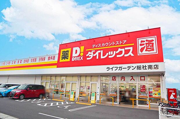 ダイレックス ライフガーデン総社南店 700m