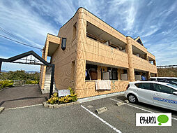 7 / 29