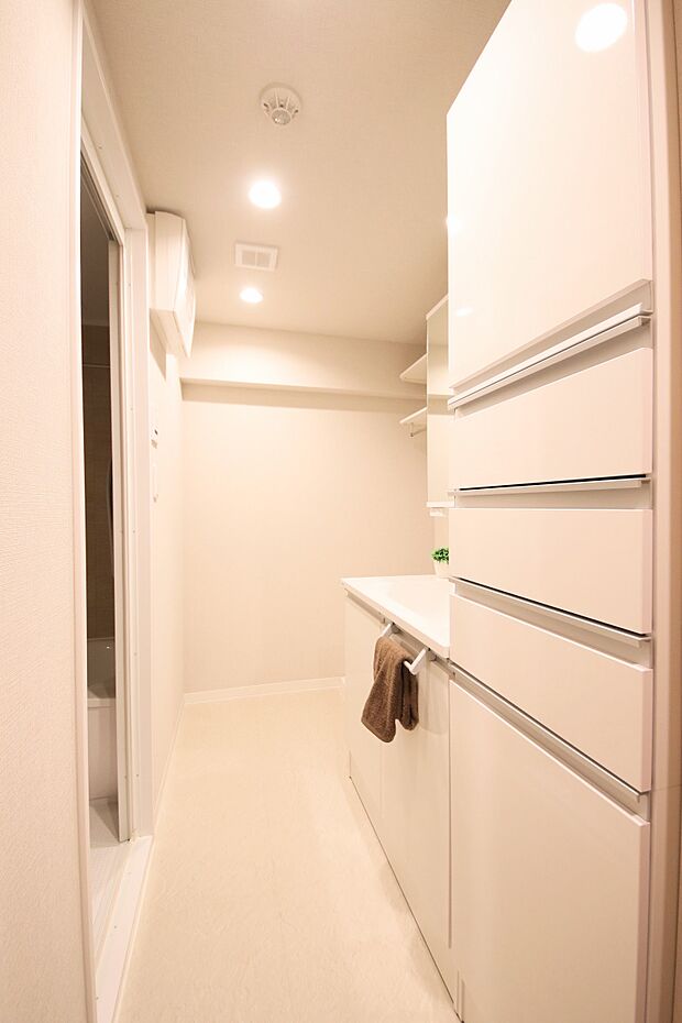 洗面所はホワイト系の色で建具がまとめられており、清潔感があります。