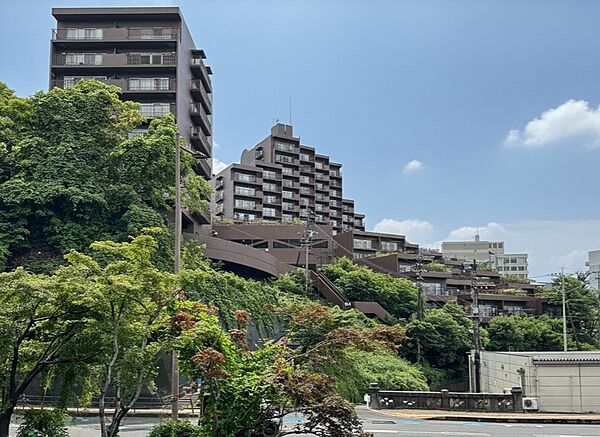 外観：343000097722