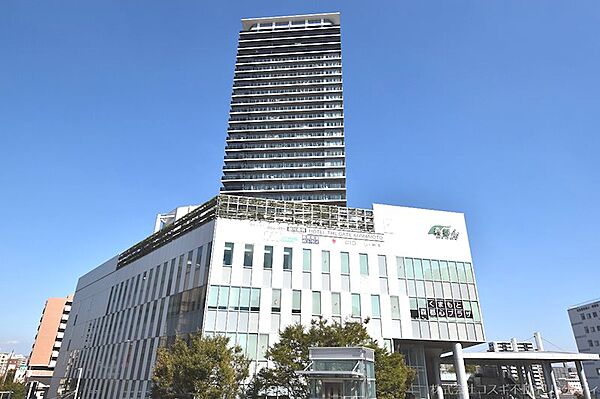 外観：343000098569