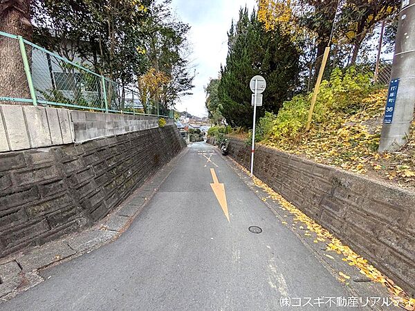 前面道路含む現地写真（東側）