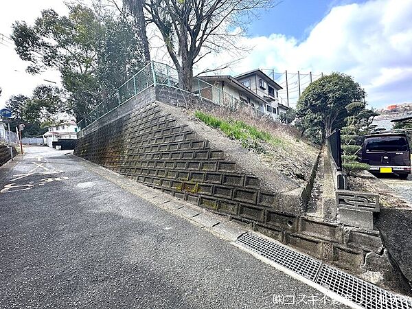 現地写真