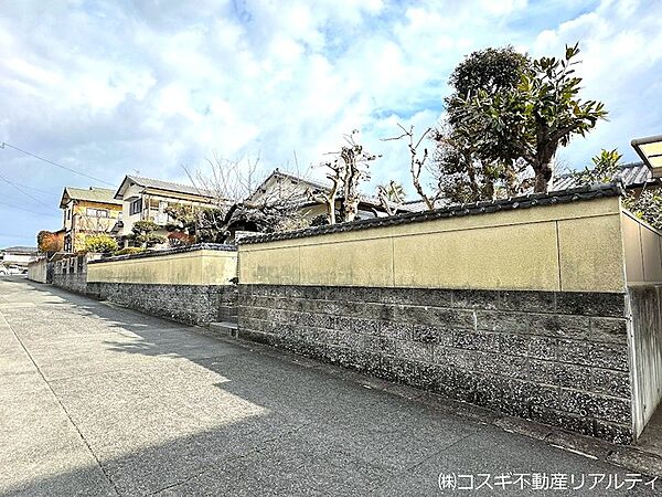 現地写真