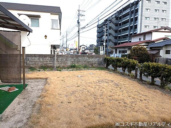 現地写真