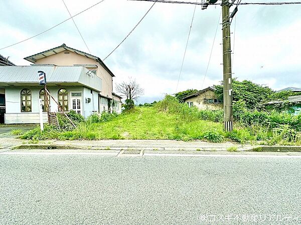 現地写真