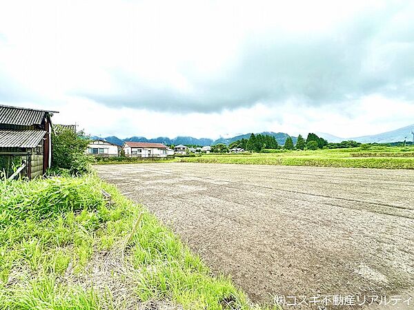 現地写真
