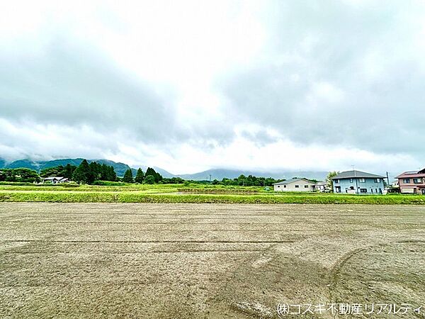 現地写真