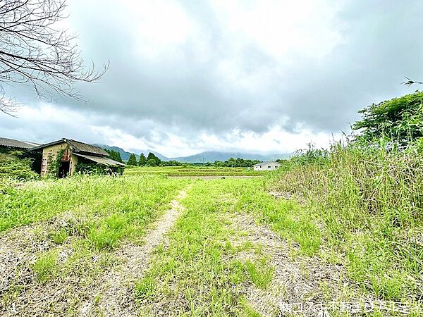 現地写真