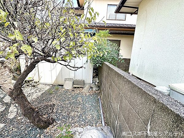現地写真