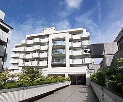 デイスターアベニュー