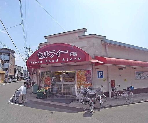 アルヴィータ北大路_周辺_0