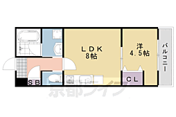 リアン桂ウエスト 1階/-
