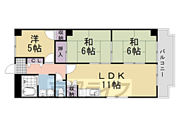 シャトレ桂 4階/-