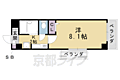 レィディアンス5階4.8万円
