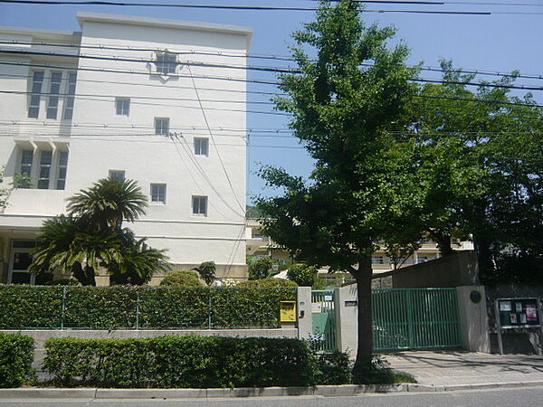 「神戸市立春日野小学校」　207ｍ