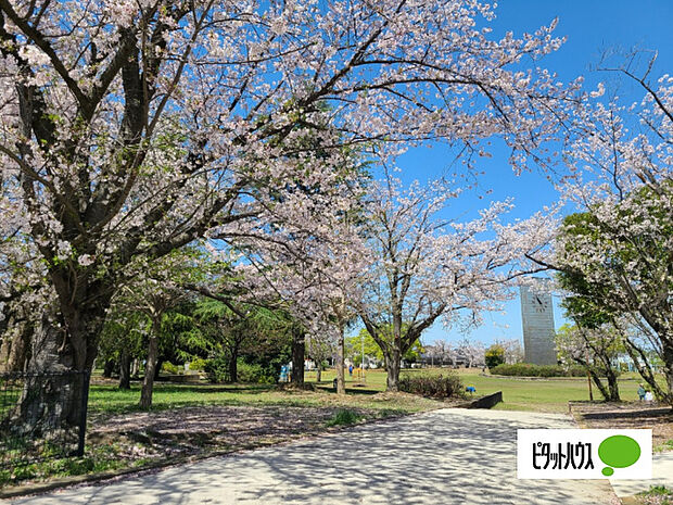 公園「清見台中央公園まで350m」