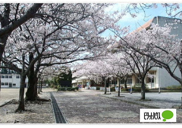 小学校「木更津市立八幡台小学校まで1297m」