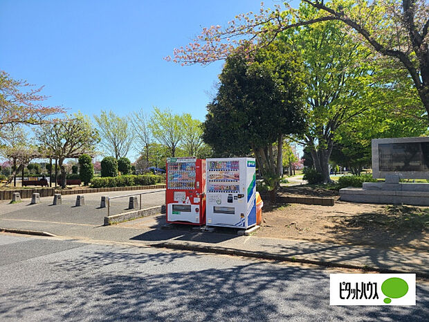 公園「蔵波公園まで800m」