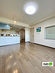 パシフィックビスタIV