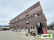 紀ノ川駅より徒歩13分 2階 築51年7ヶ月の賃貸物件