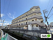 YMクレール大門川 4階 築36年6ヶ月の賃貸物件