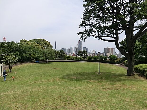 急坂を上りきった所にある、名前の通り見晴らしの良い緑豊かな公園。