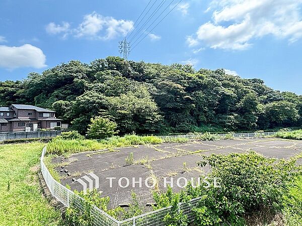 開放的で気持ちの良い眺望と青い空を満喫できます。
