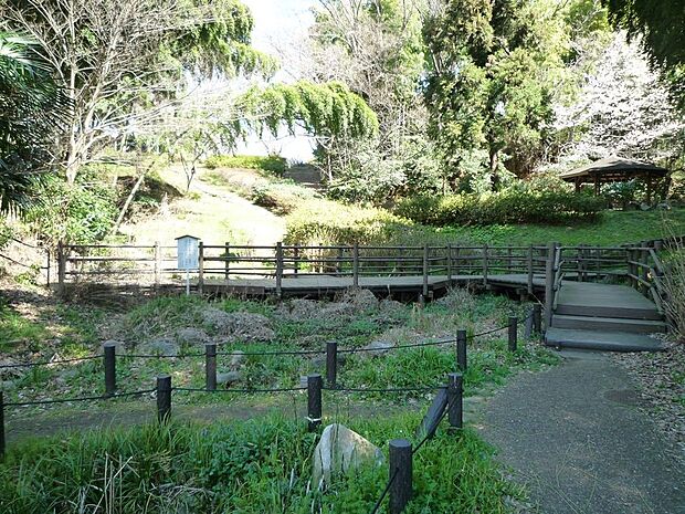 かつての谷戸の風景を残した公園としても知られ、せせらぎやトンボ池、ツツジなどの緑に囲まれています。